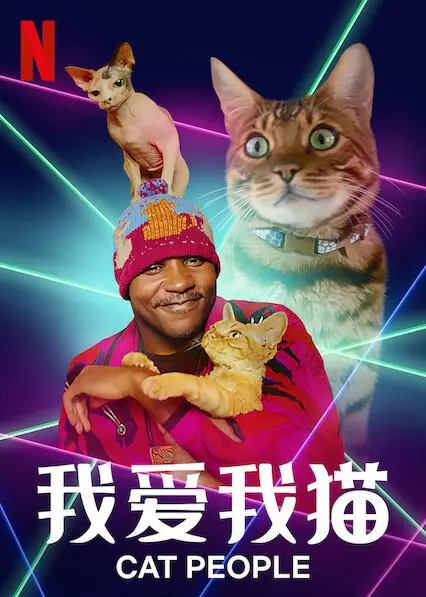 探索人与猫的深厚情感：我爱我猫的温暖故事