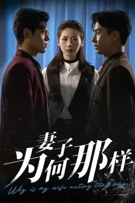 《妻子为何那样》：一场婚姻危机的深度剖析，情感纠葛引人入胜