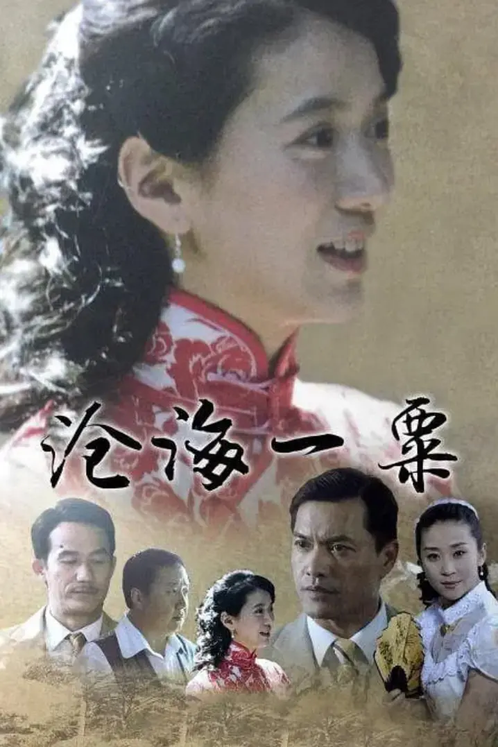 《沧海一粟》：时间洪流中的微光，个体在宏大叙事下的挣扎与寻找